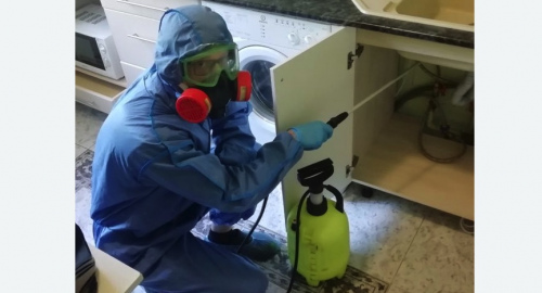 Уничтожение муравьев в квартире. Ак-Довурак