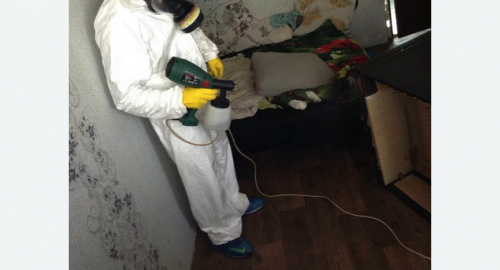 Обработка квартир от насекомых в Ак-Довураке