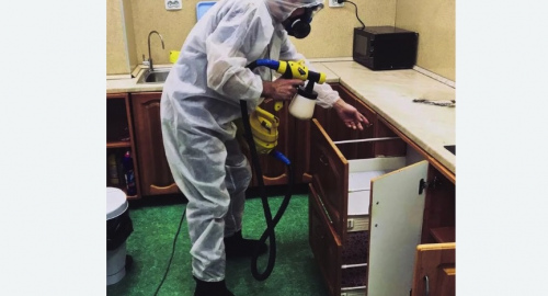 Дезинсекция квартиры. Ак-Довурак