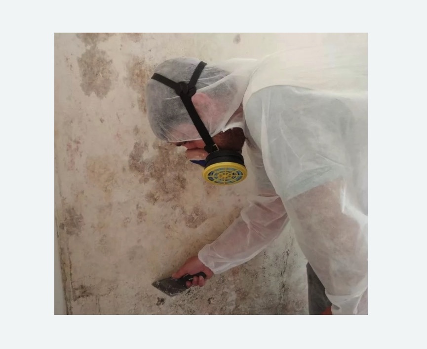 Обработка стен от плесени в Ак-Довураке
