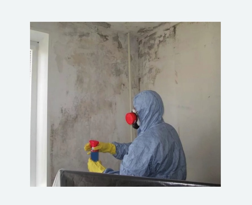 Удаление плесени в квартире в Ак-Довураке