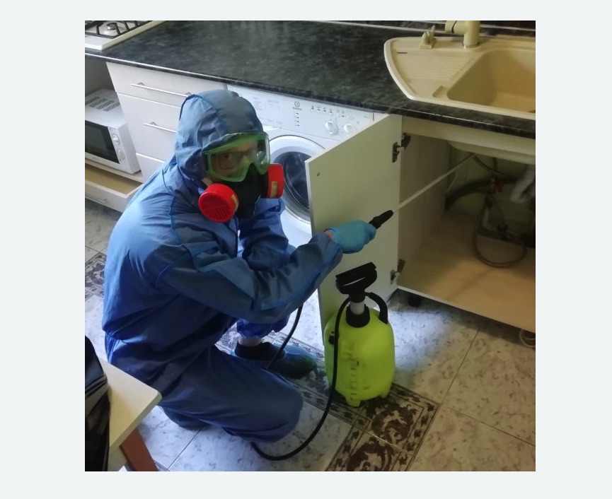 обработка от муравьев в квартире в Ак-Довураке